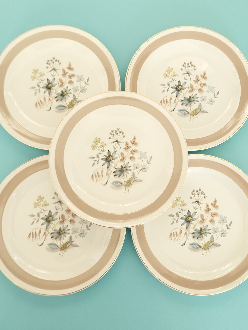 Set of 5 Vintage Midwinter Staffordshire MEADOW Bread Plates Brown Wildflower